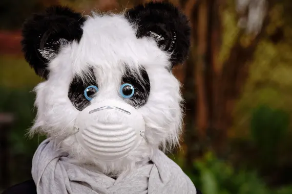 Казино Кабаре Клуб Поддръжка